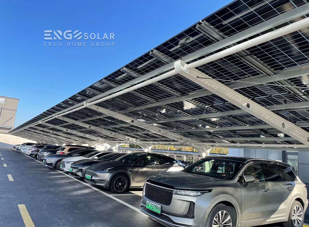 Friendly visit in Apha ESS (nantong) Co.,ltd Company News 第2张-ergo-solar Friendly visit in Apha ESS (nantong) Co.,ltd