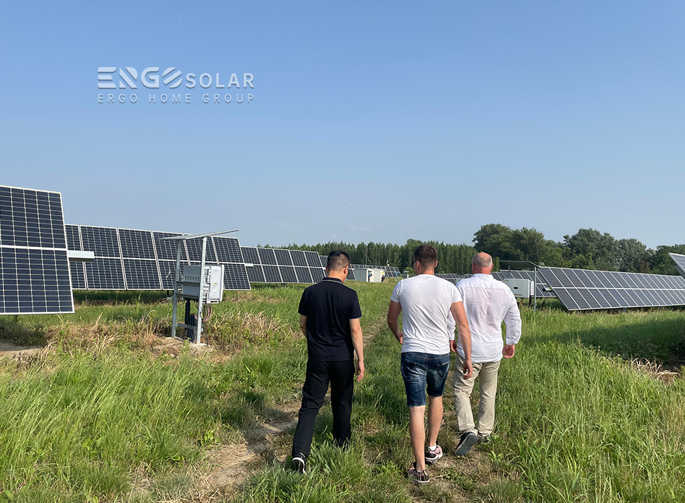 Visited Hungarian 1MW tracking pv solar plant Company News 第6张-ergo-solar Visited Hungarian 1MW tracking pv solar plant